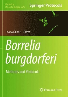 Borrelia burgdorferi 1