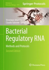 bokomslag Bacterial Regulatory RNA