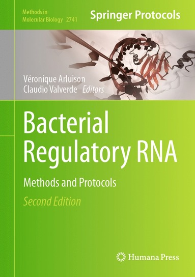 bokomslag Bacterial Regulatory RNA