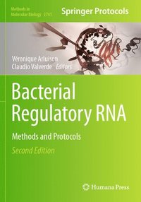 bokomslag Bacterial Regulatory RNA