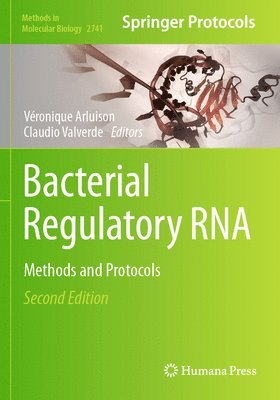 Bacterial Regulatory RNA 1