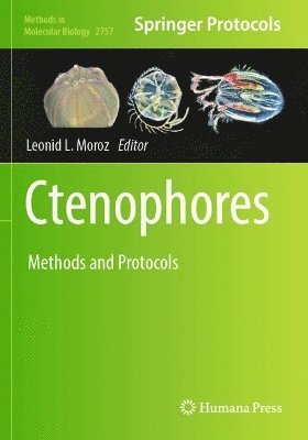 bokomslag Ctenophores