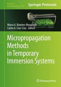 bokomslag Micropropagation Methods in Temporary Immersion Systems