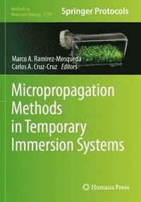 bokomslag Micropropagation Methods in Temporary Immersion Systems