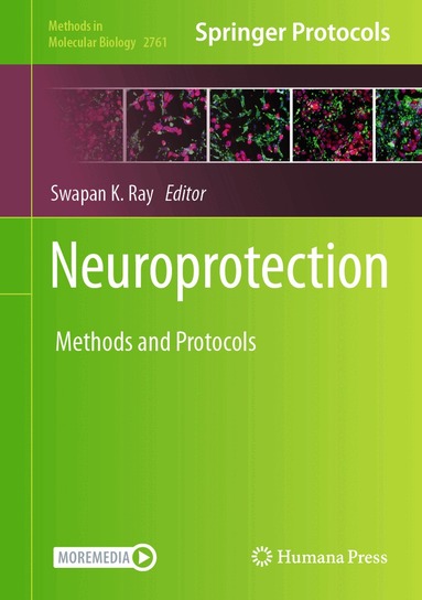 Swapan K. Ray - Neuroprotection, Inbunden