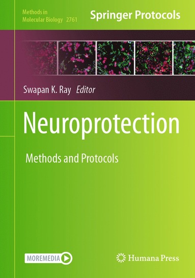 bokomslag Neuroprotection