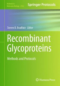 bokomslag Recombinant Glycoproteins