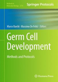bokomslag Germ Cell Development