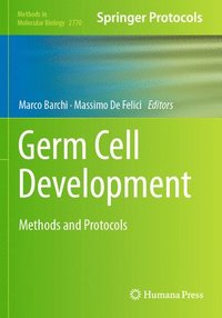 bokomslag Germ Cell Development