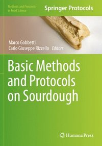 bokomslag Basic Methods and Protocols on Sourdough