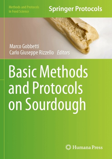 Marco Gobbetti, Carlo Giuseppe Rizzello - Basic Methods and Protocols on Sourdough, Häftad