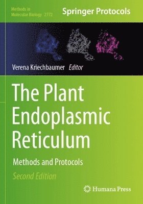 bokomslag Plant Endoplasmic Reticulum