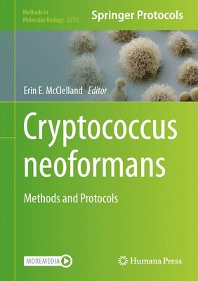 bokomslag Cryptococcus neoformans