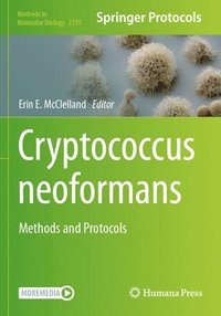 bokomslag Cryptococcus neoformans