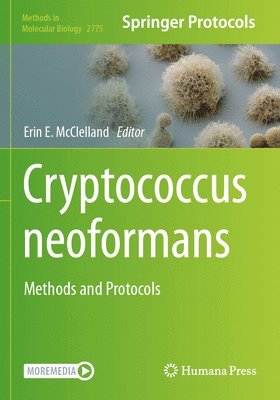 bokomslag Cryptococcus neoformans