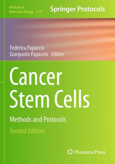 Federica Papaccio, Gianpaolo Papaccio - Cancer Stem Cells, Häftad