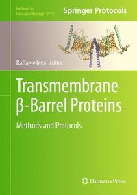 bokomslag Transmembrane -Barrel Proteins