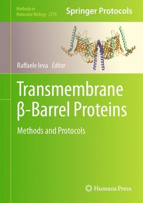 Transmembrane -Barrel Proteins 1