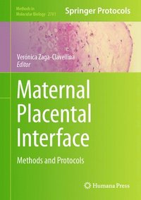 bokomslag Maternal Placental Interface