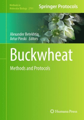 bokomslag Buckwheat