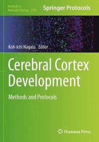 bokomslag Cerebral Cortex Development