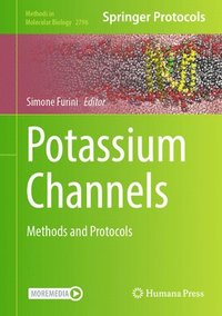 bokomslag Potassium Channels