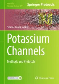 bokomslag Potassium Channels