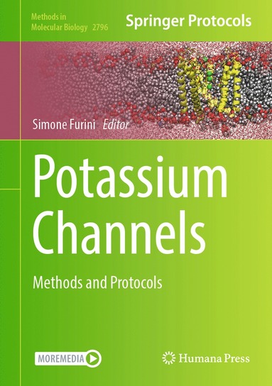 bokomslag Potassium Channels