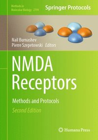 bokomslag NMDA Receptors