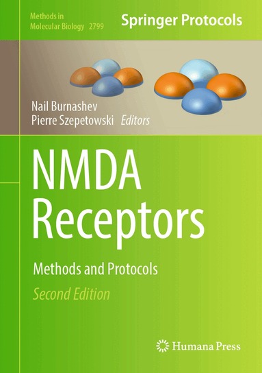 Nail Burnashev, Pierre Szepetowski - NMDA Receptors, Inbunden