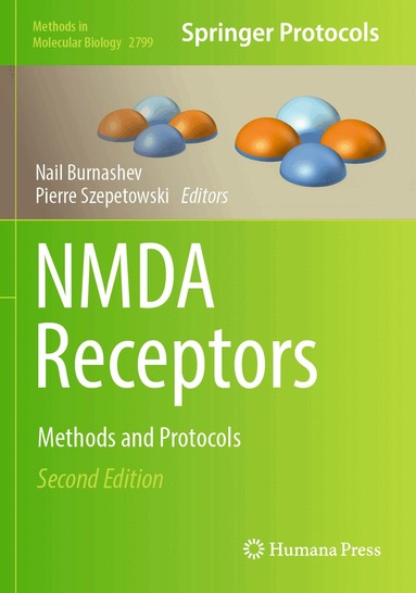 Nail Burnashev, Pierre Szepetowski - NMDA Receptors, Häftad