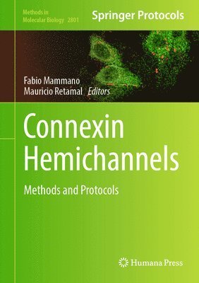 Connexin Hemichannels 1