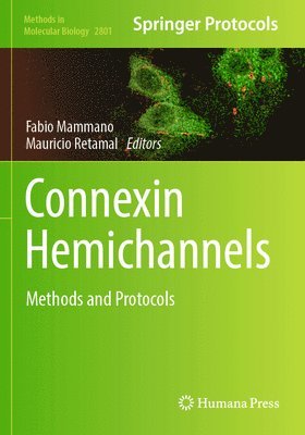 bokomslag Connexin Hemichannels