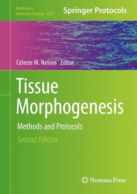 bokomslag Tissue Morphogenesis