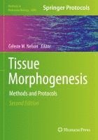 bokomslag Tissue Morphogenesis