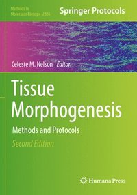 bokomslag Tissue Morphogenesis: Methods and Protocols