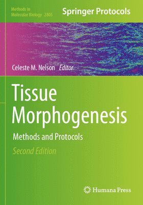 bokomslag Tissue Morphogenesis: Methods and Protocols