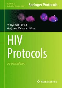 bokomslag HIV Protocols