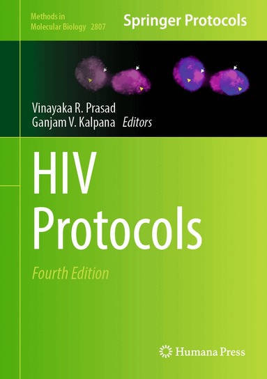 Vinayaka R. Prasad, Ganjam V. Kalpana - HIV Protocols, Inbunden