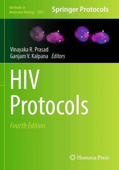 Vinayaka R. Prasad, Ganjam V. Kalpana - HIV Protocols, Häftad