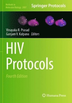 bokomslag HIV Protocols