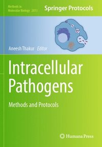 bokomslag Intracellular Pathogens: Methods and Protocols