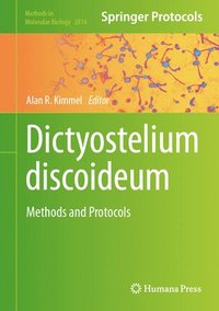 bokomslag Dictyostelium discoideum