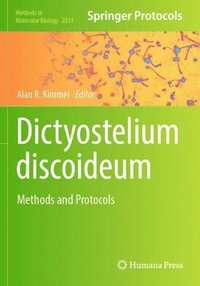 bokomslag Dictyostelium discoideum