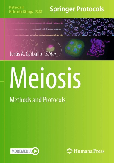 Jesús A Carballo - Meiosis, Häftad
