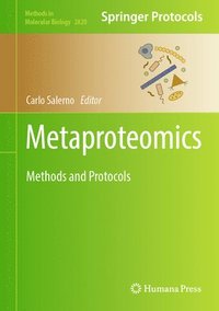 bokomslag Metaproteomics