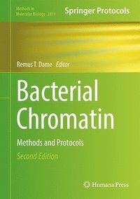 bokomslag Bacterial Chromatin