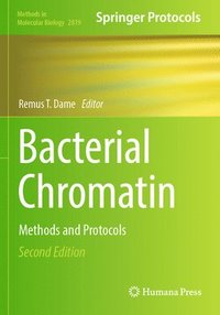 bokomslag Bacterial Chromatin