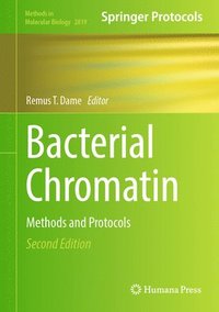 bokomslag Bacterial Chromatin: Methods and Protocols