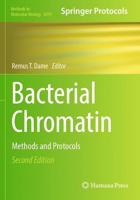 bokomslag Bacterial Chromatin